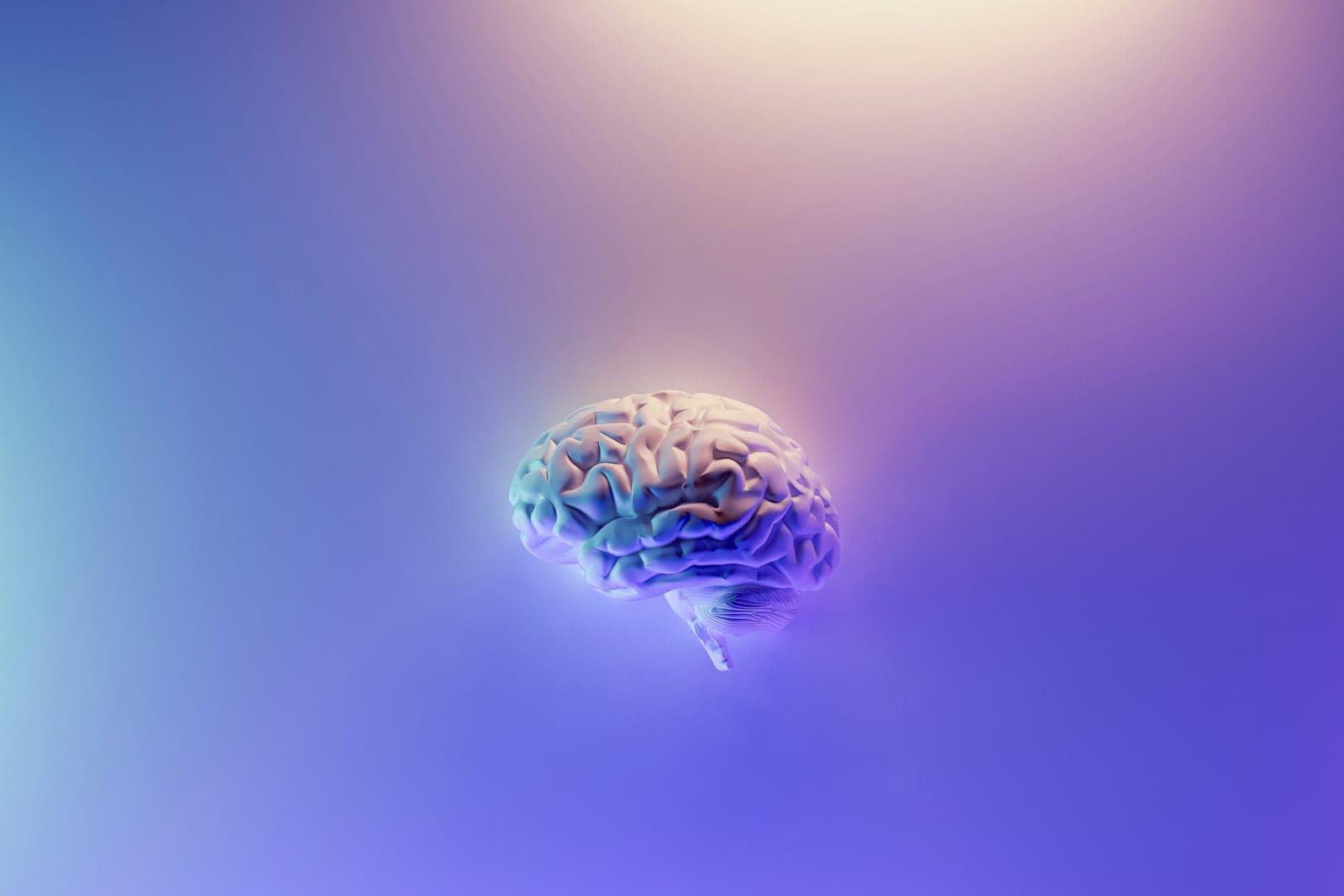 Neurology medical billing services
